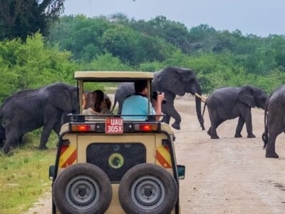 Game drive in Queen Elizabeth park