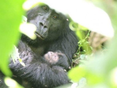 Murema with her newborn baby