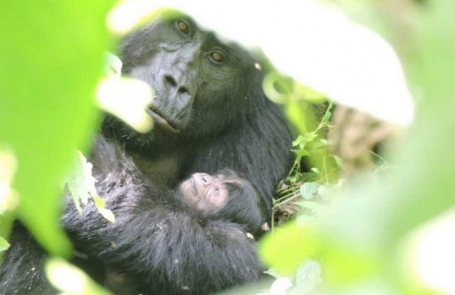 Murema with her newborn baby