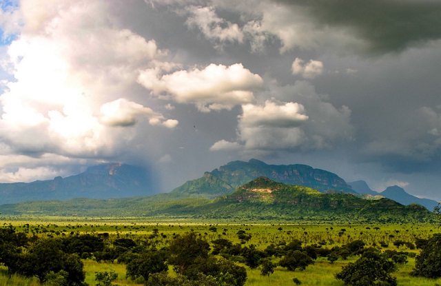 Pian Upe Wildlife Reserve in uganda.