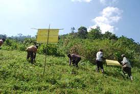 conservation efforts embrated Mt Elgon frontiers.