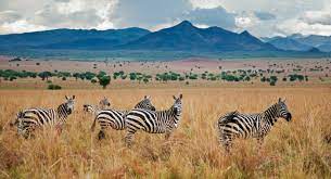 Kidepo valley national park.