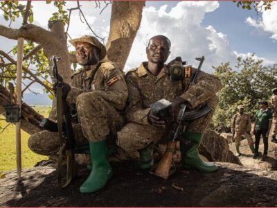 To monitor Uganda's lion population in critical stronghold, rangers lead efforts.