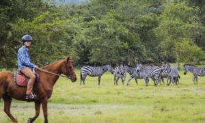 Horse riding in Lake Mburo park. 