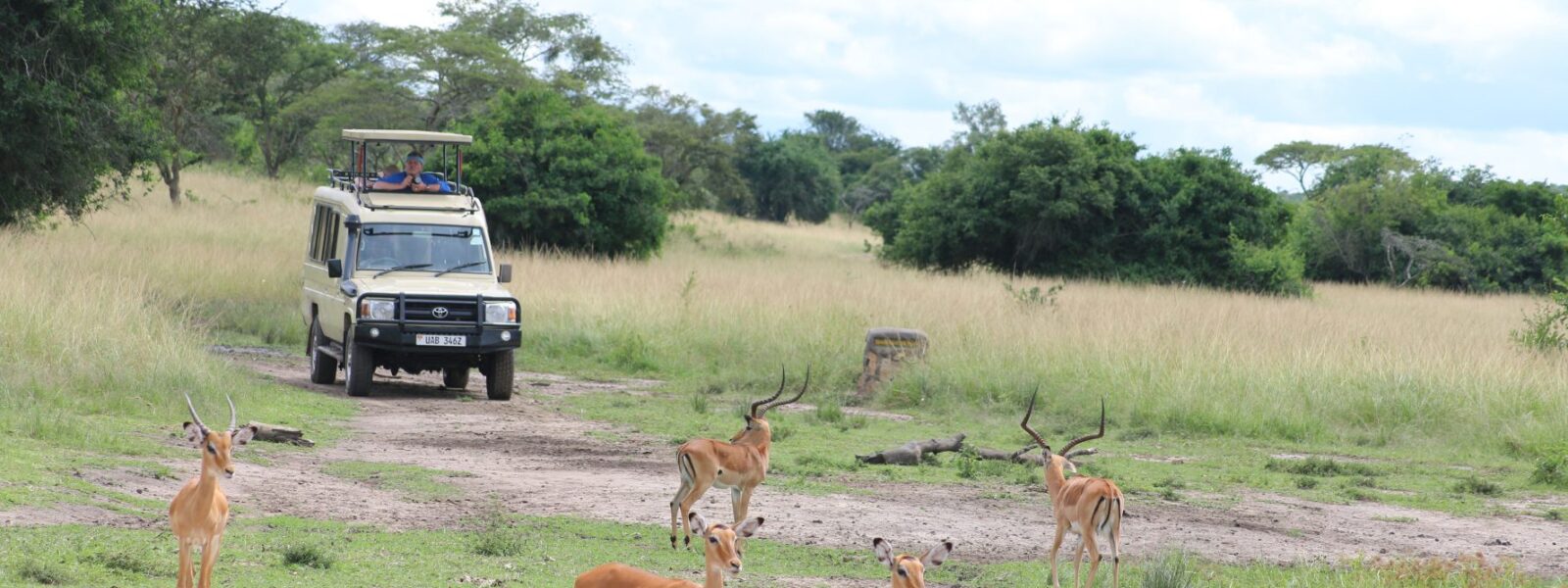 Game drive in lake mburo national park