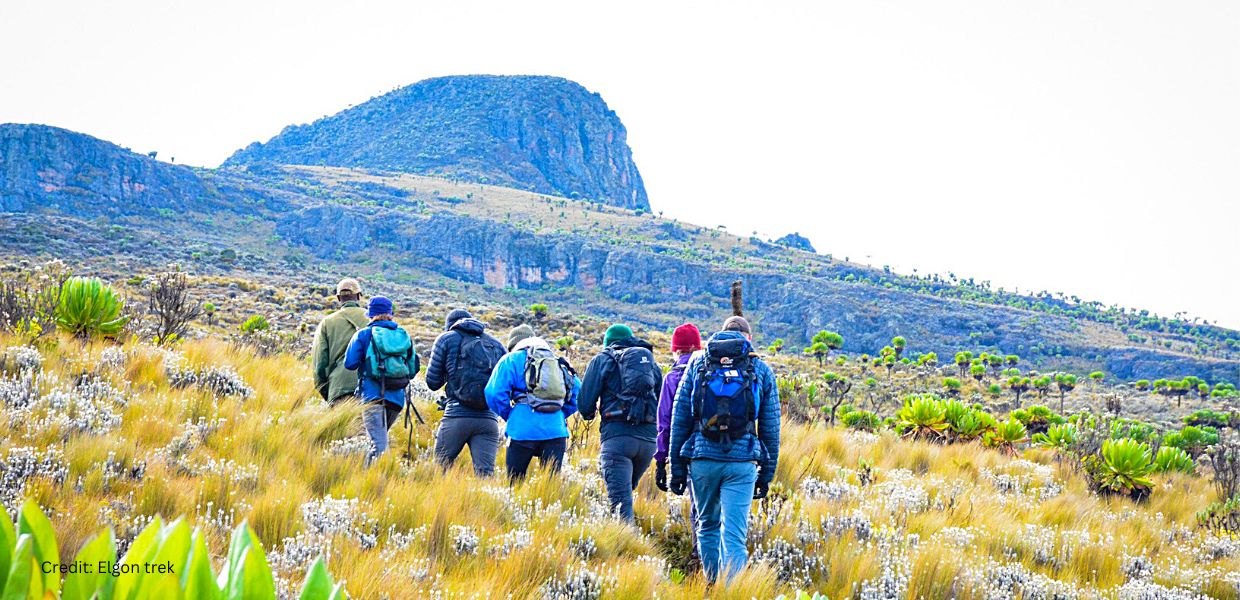 Mt Elgon in Uganda