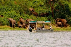 Boat-Cruise-on-kazinga-channel