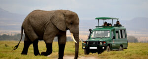 Gae drive in Akagera national park